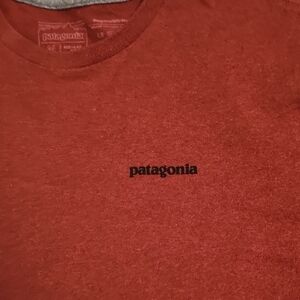 Patagonia Rust Red Logo Crewneck Tee